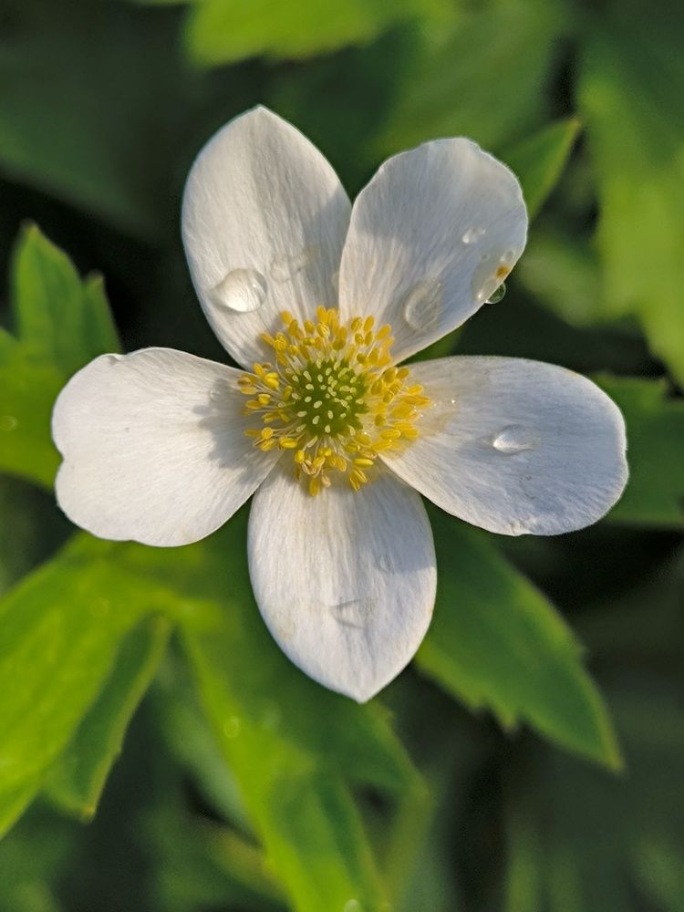 Photograph by Денис Хасанов