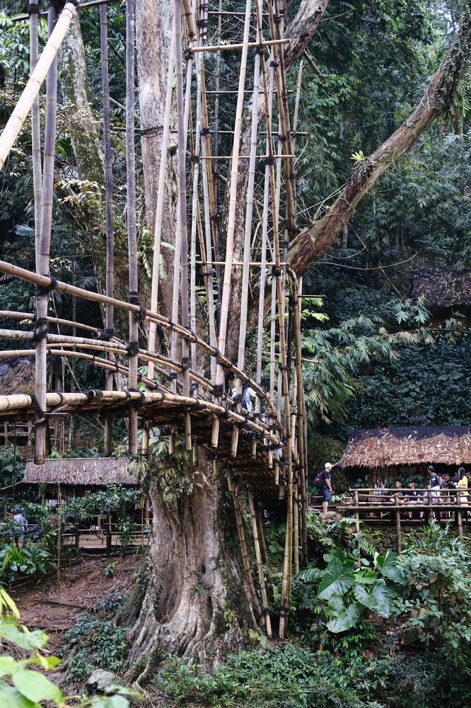 Фотография автора Rifai Annas