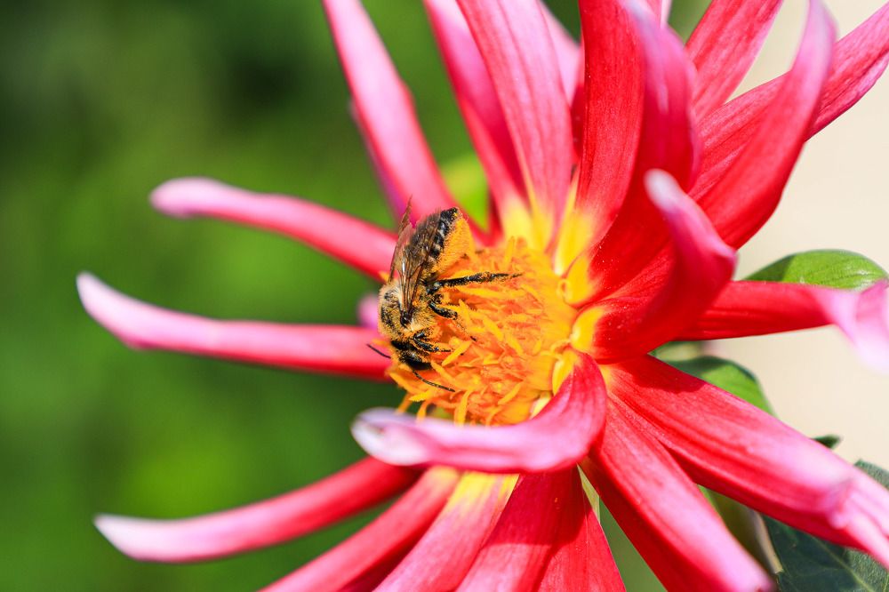 Photograph by Дарья Целуйко