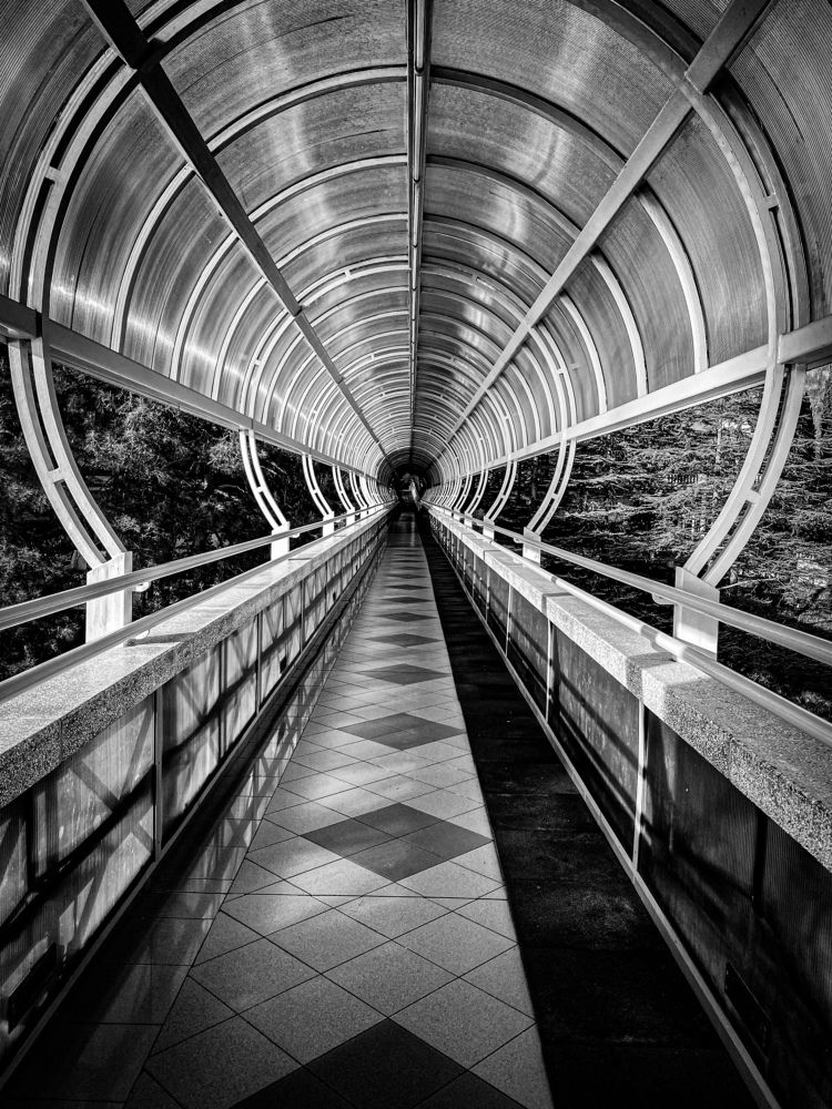 Photograph by Елена Шамраева