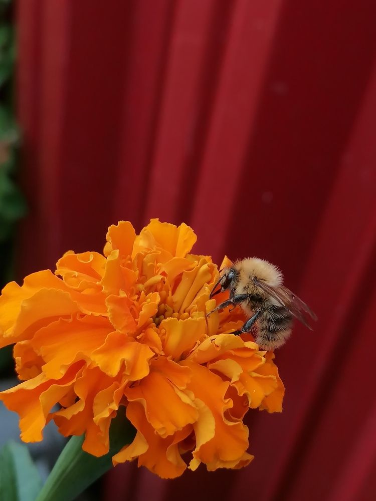 Photograph by Галина Карманова