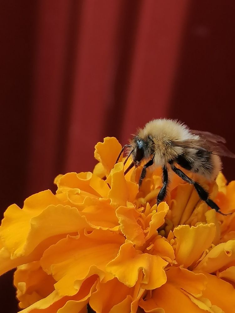 Photograph by Галина Карманова