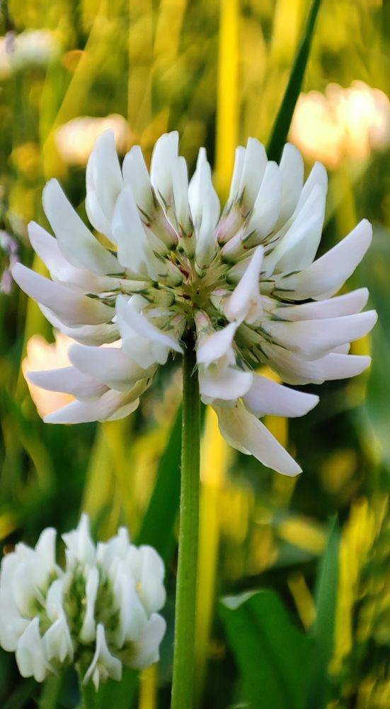 Photograph by Марина Артемьева