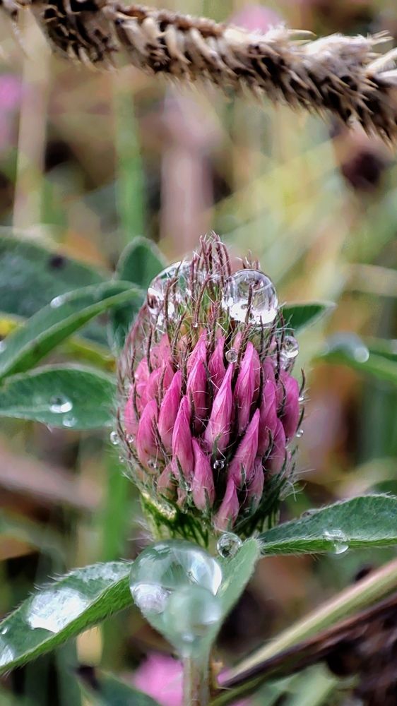 Photograph by Марина Артемьева