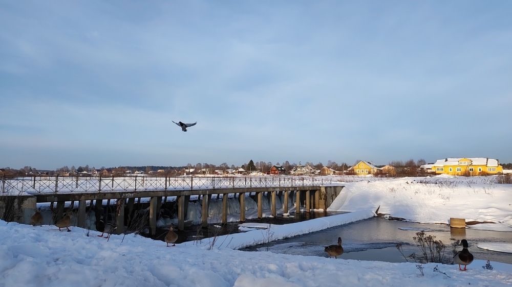 Photograph by Марина Артемьева