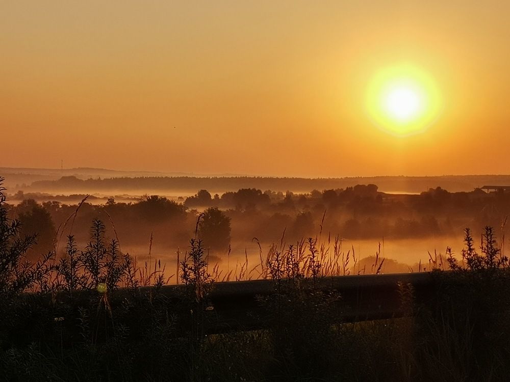 Photograph by Ирина Садовникова