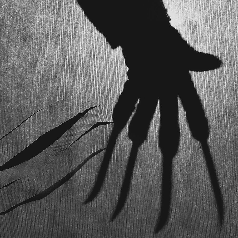 Photograph by Алексей Парамонов