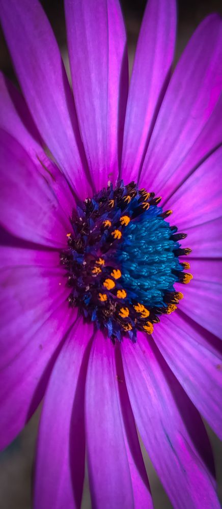 Photograph by fatemeh mohammadmosa