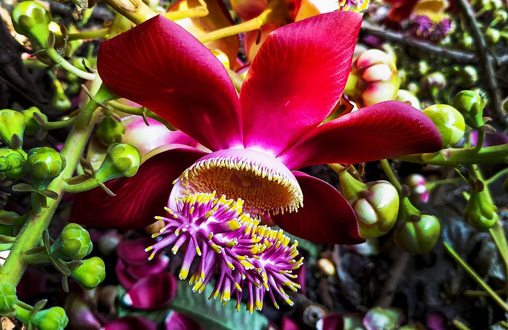 Фотография автора Mohana Murali Krishna Kavutharapu