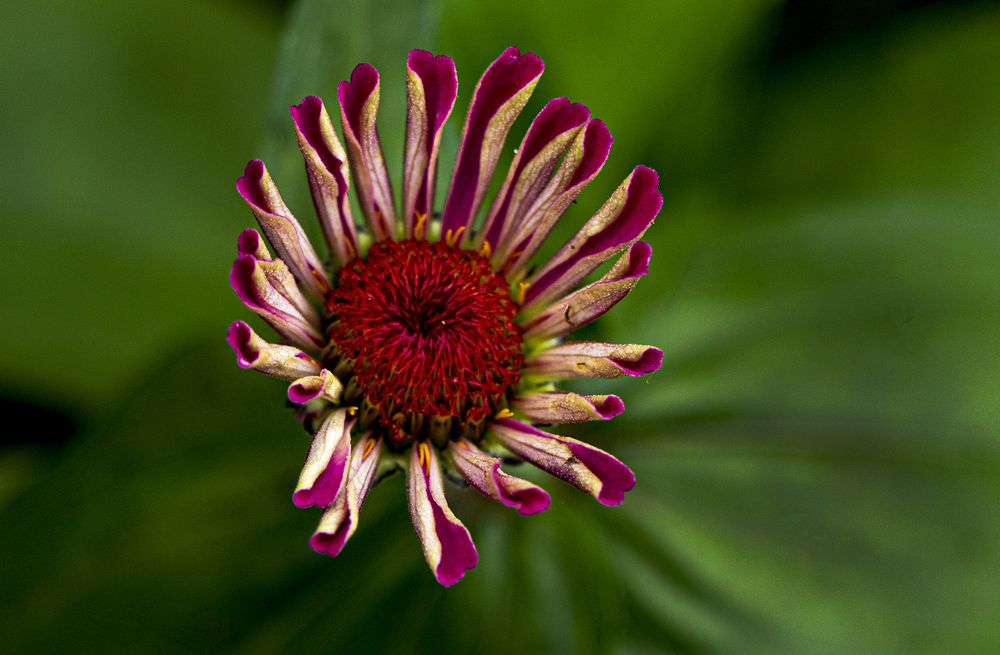 Фотография автора Mohana Murali Krishna Kavutharapu