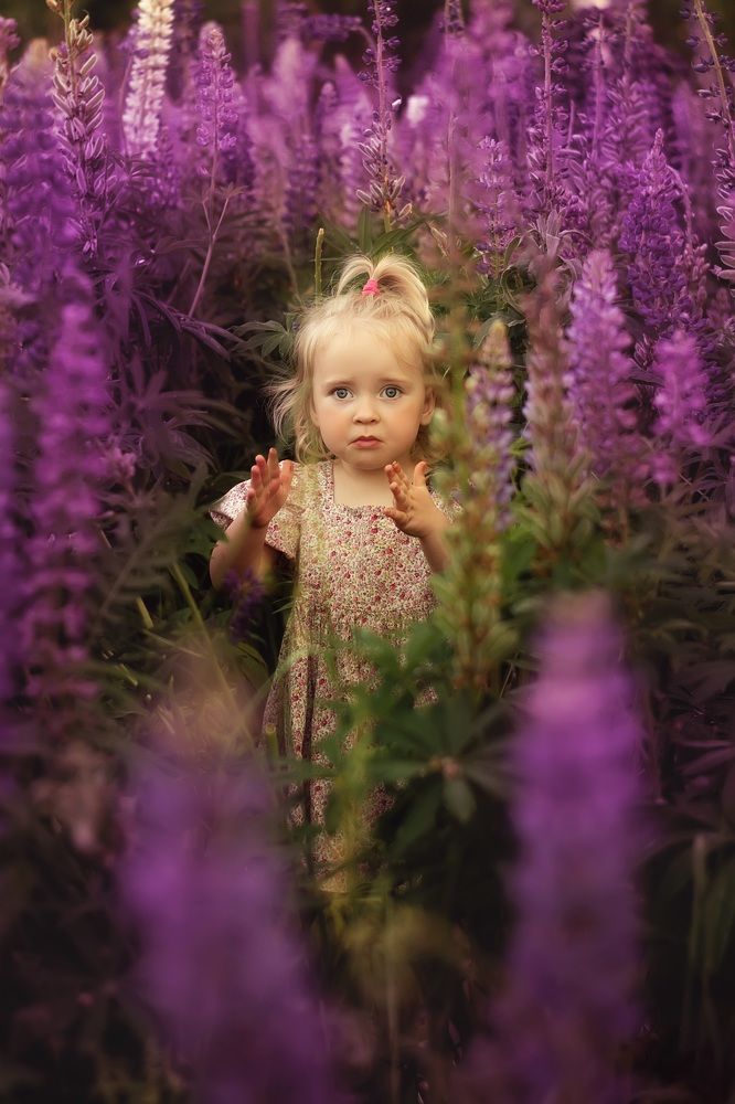 Photograph by Евгения Баширова