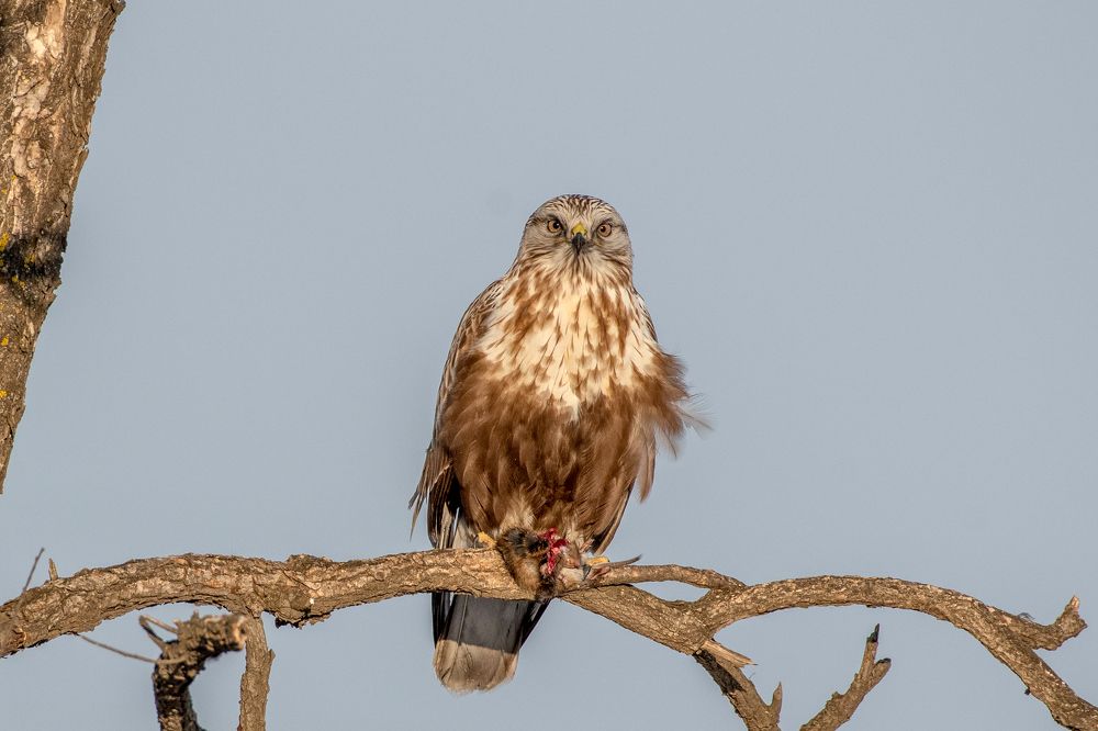 Photograph by константин