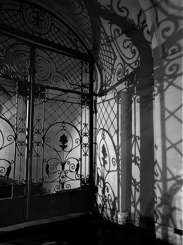 Photograph by Наталья Веряскина