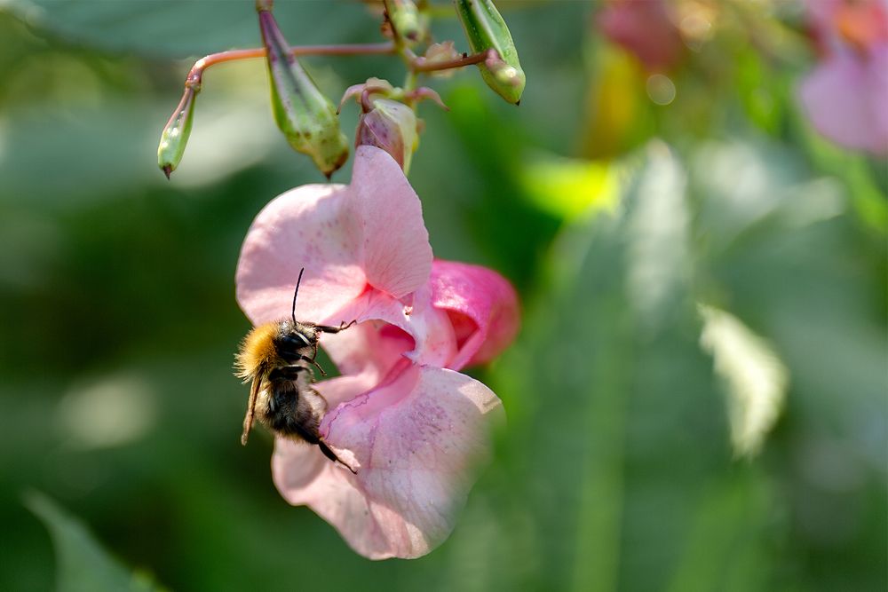 Photograph by Анжелика Соловьева