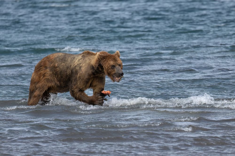 Photograph by Галина Павлова