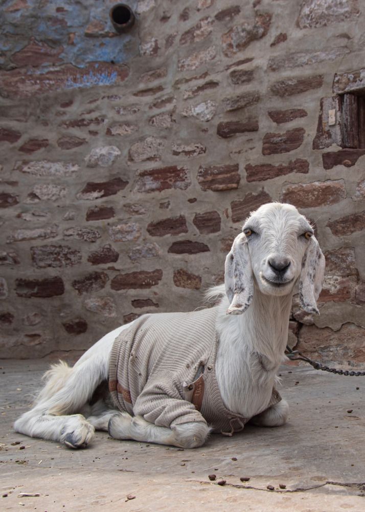 Photograph by Анна Васильева