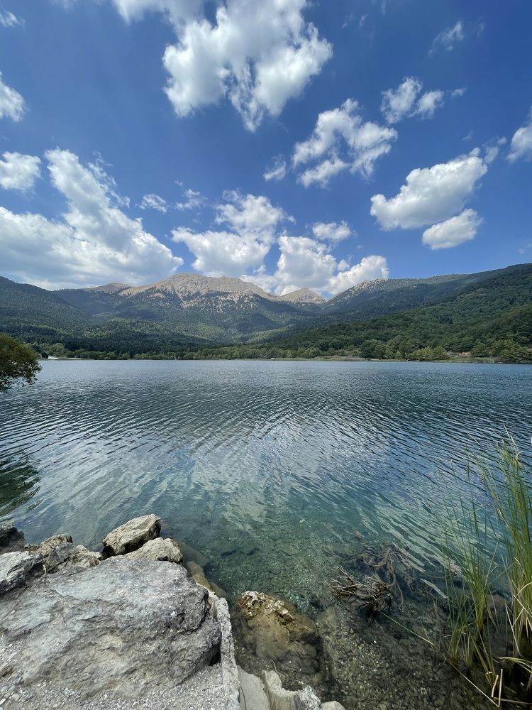 Photograph by Юлия Давшан