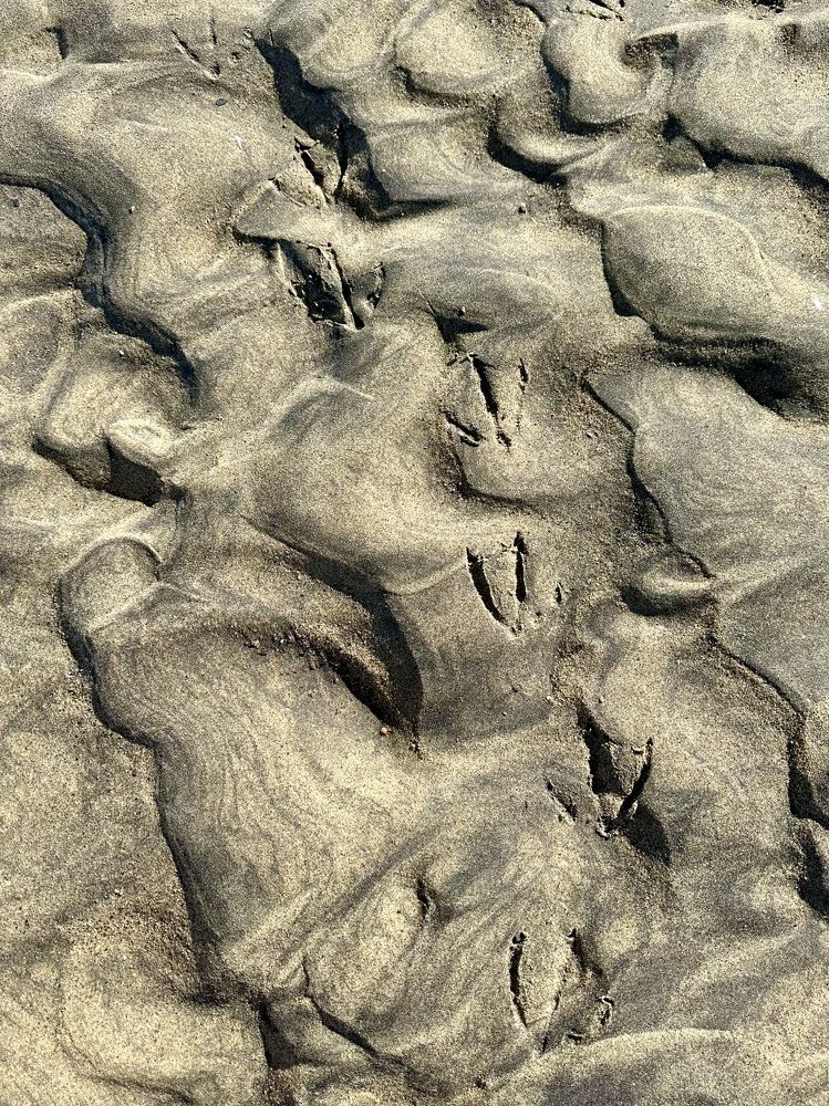 Photograph by Наталия Курищева