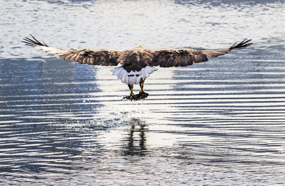 Photograph by Sergey Tsubanov