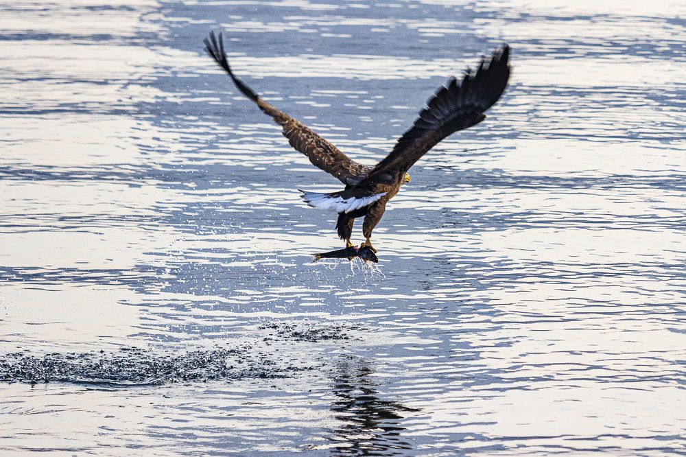 Photograph by Sergey Tsubanov