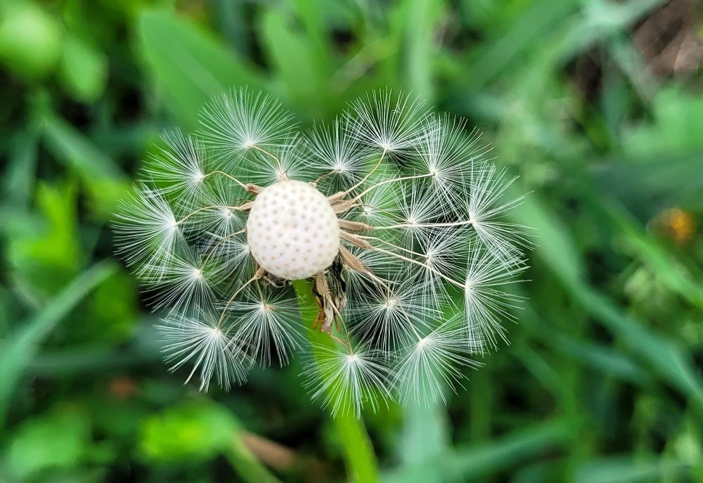 Photograph by Метушова Анна