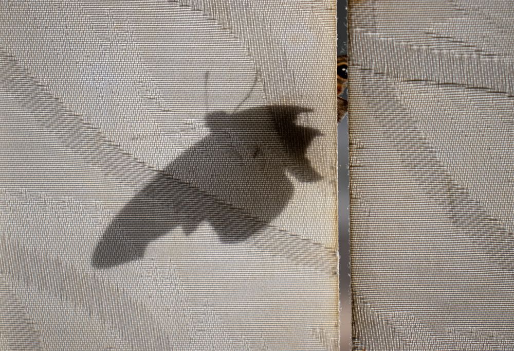 Photograph by Викулов Сергей