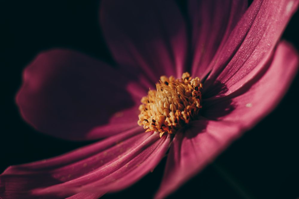 Photograph by Катя Филиппова