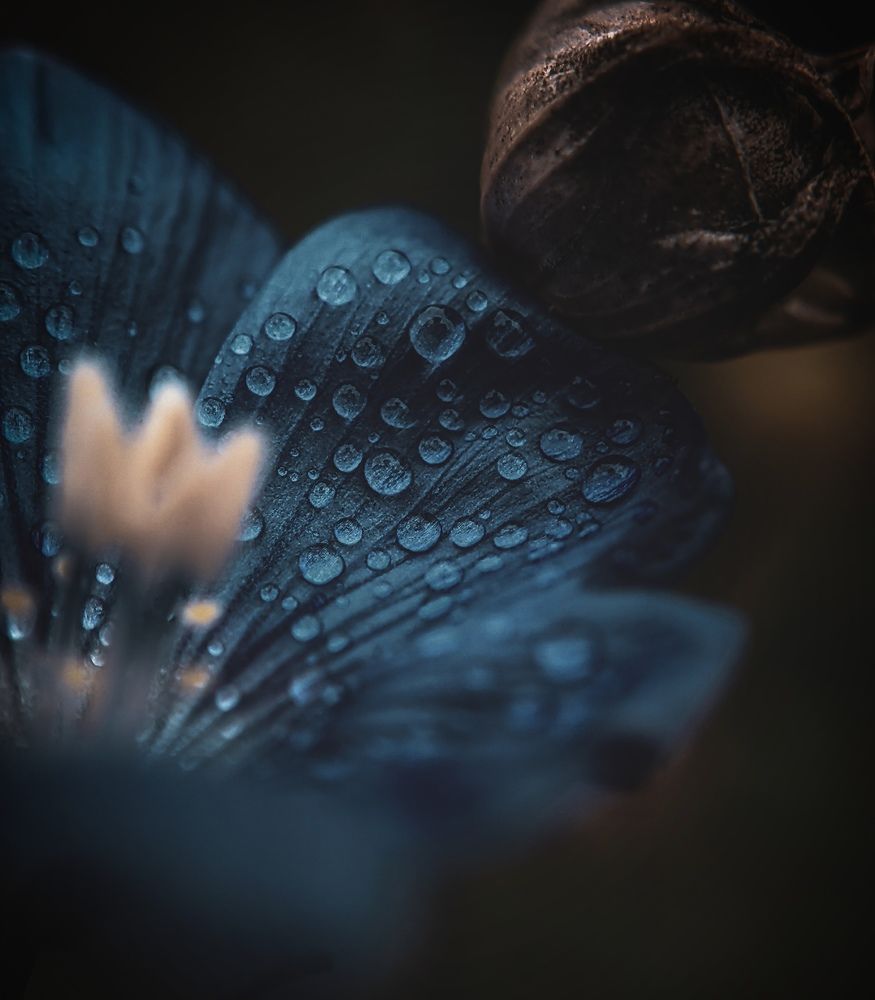 Фотография автора Юра Кладухин