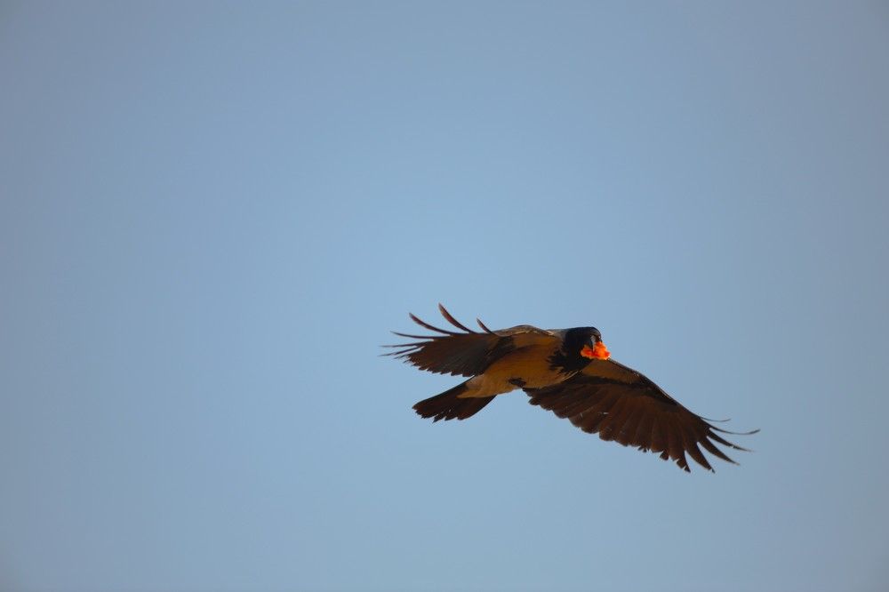 Фотография автора Михаил Лупина