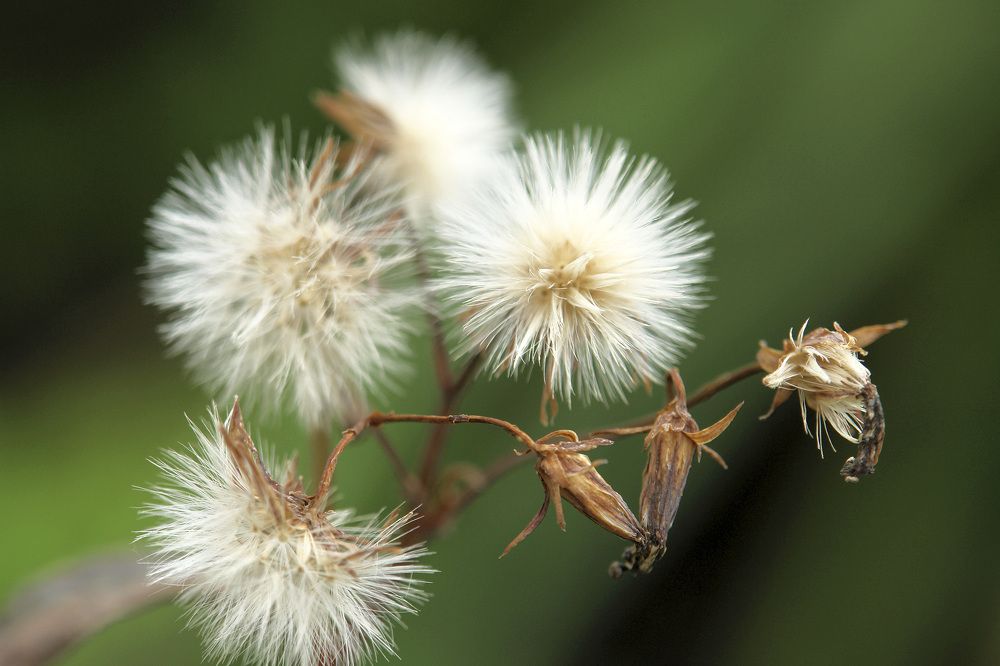 Photograph by Светлана Гореликова