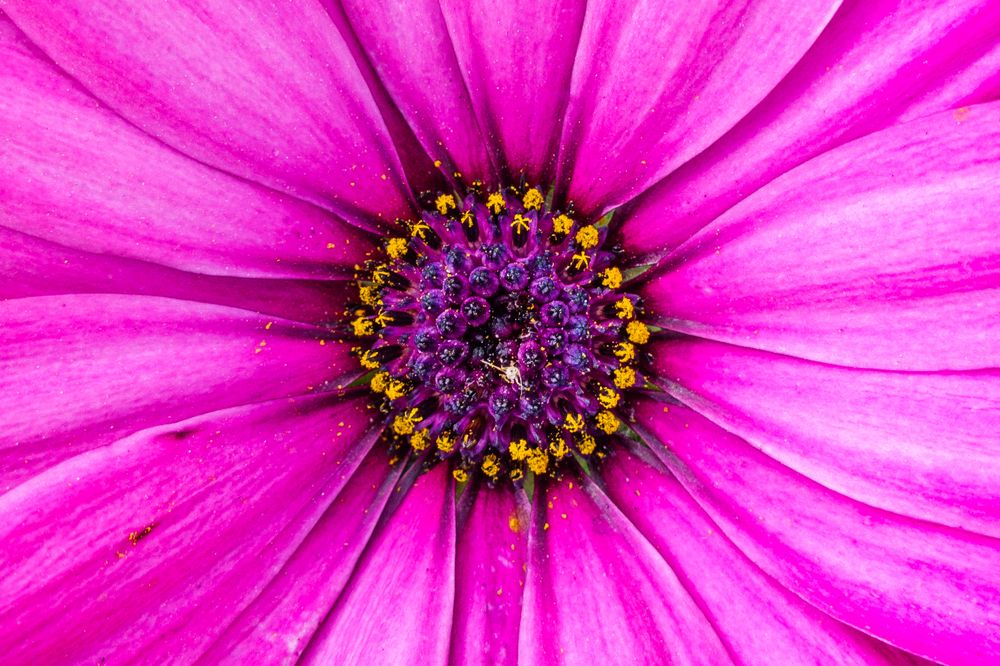 Photograph by Francisco José López Fernández