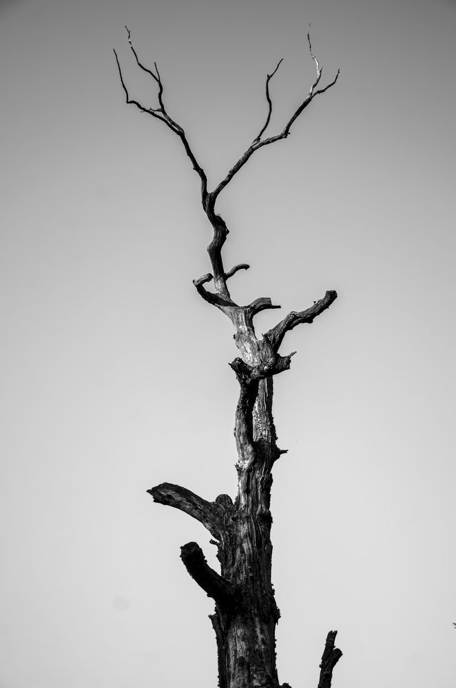 Photograph by Tatsians Tesliuk