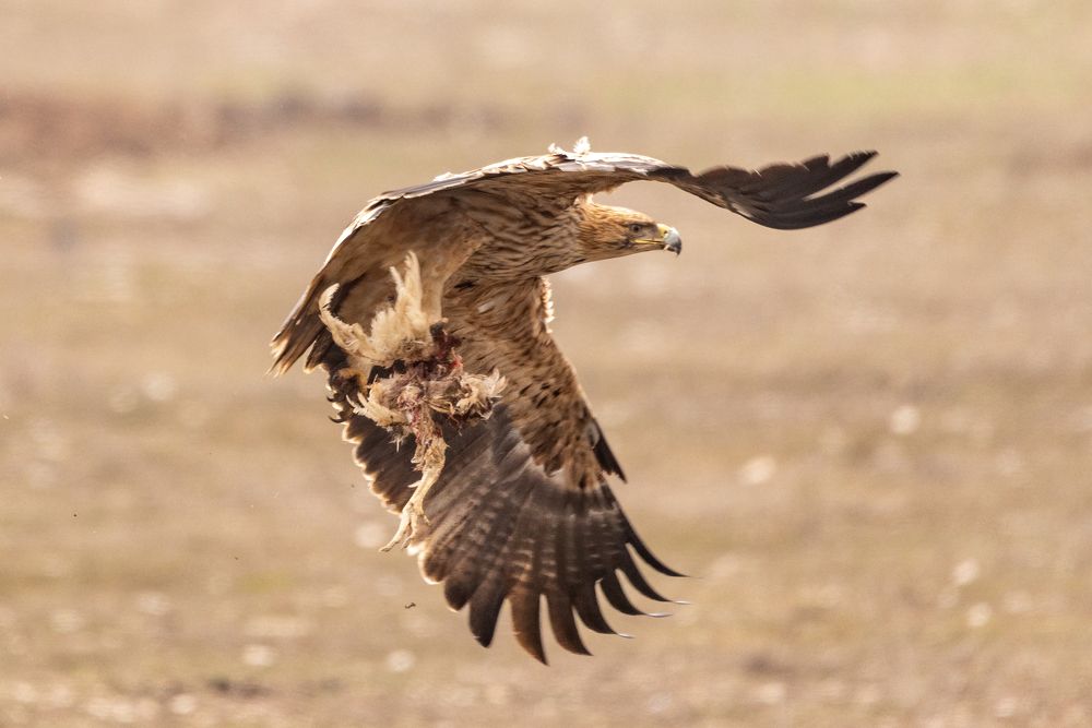 Photograph by Константин Шатилов