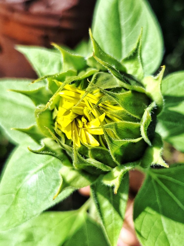 Photograph by Мария Андреева