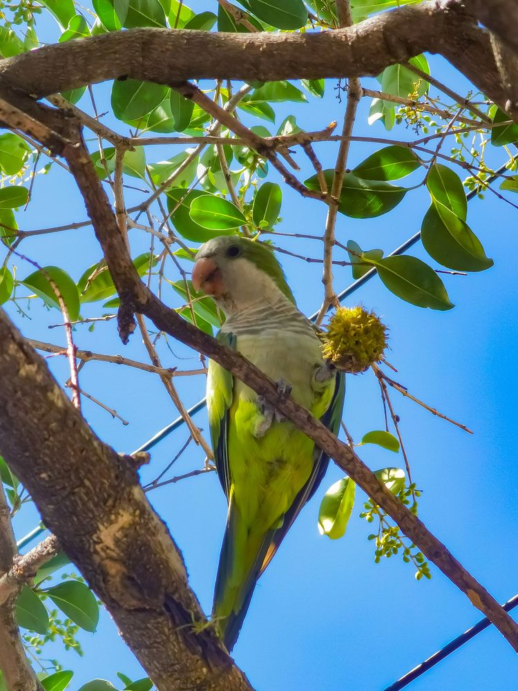 Photograph by Сергей Аверченко