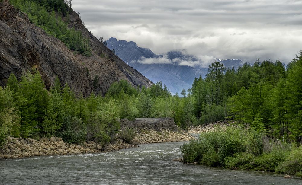 Photograph by Светлана Гореликова