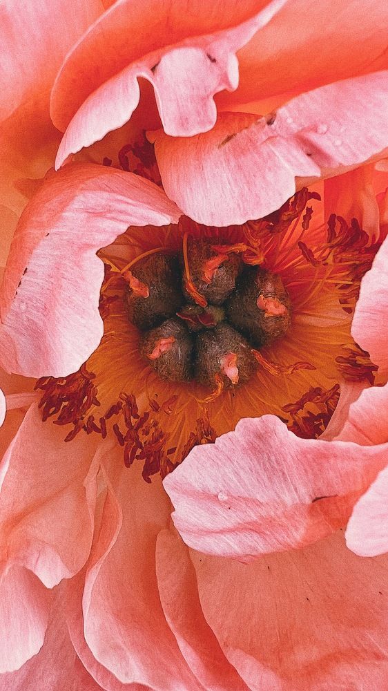 Фотография автора Alexandra Ryabova