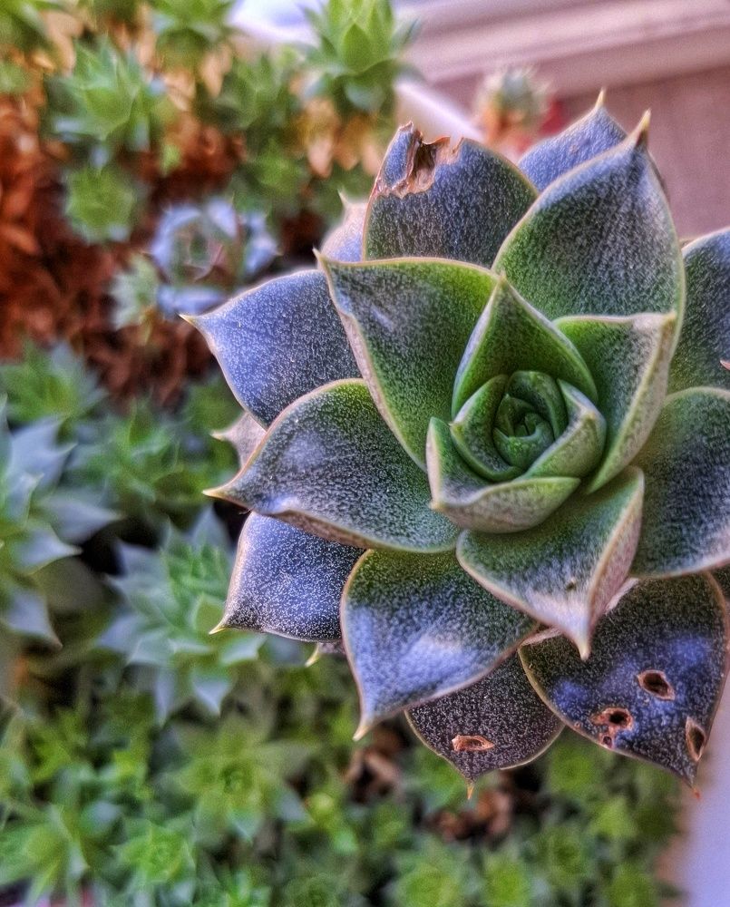 Photograph by Мария Андреева