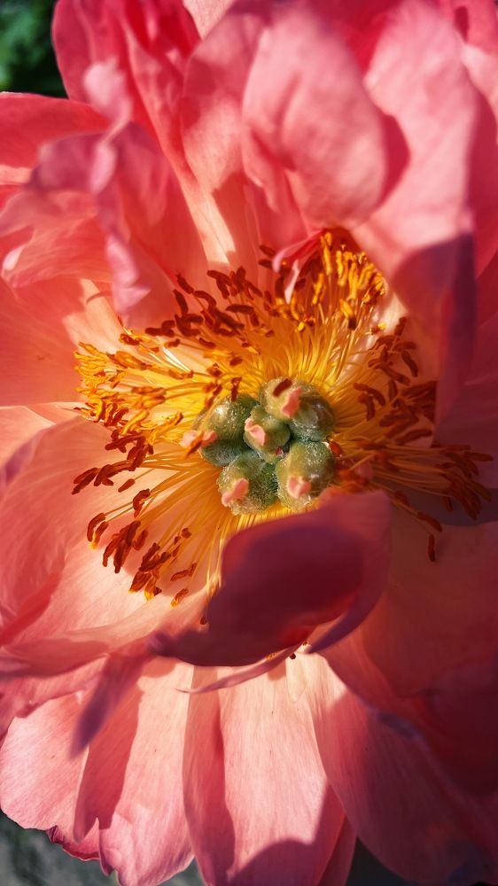 Фотография автора Alexandra Ryabova