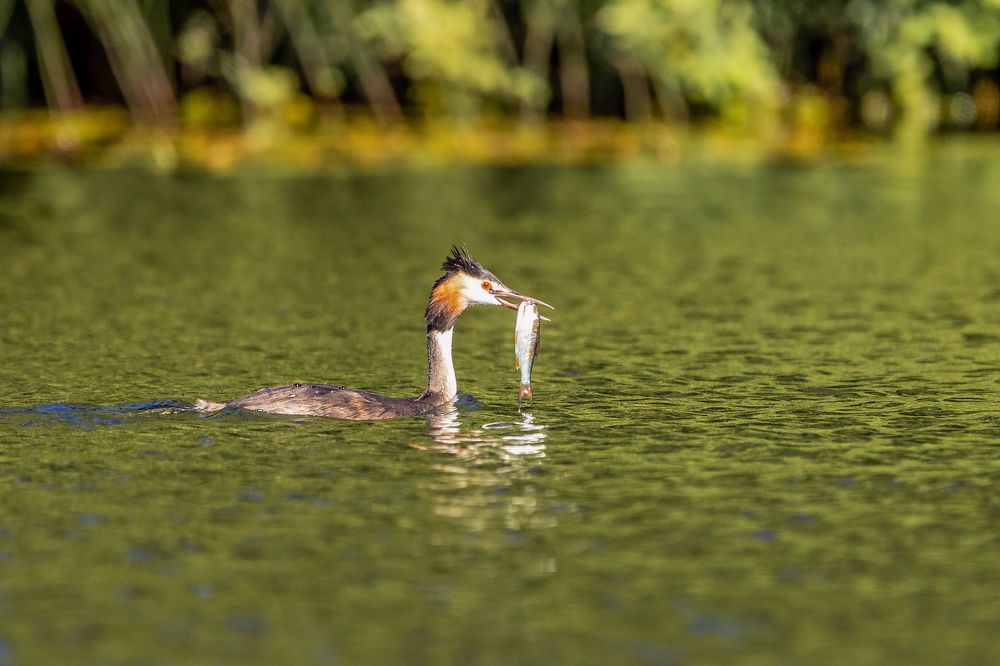 Photograph by Константин Шатилов