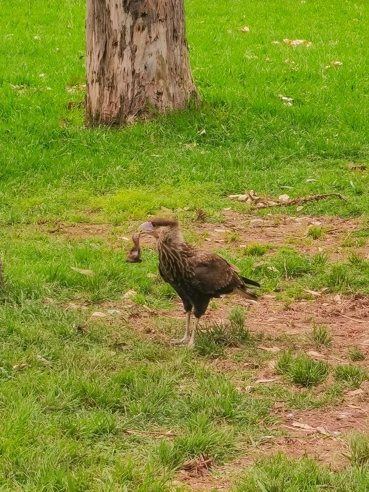 Photograph by Сергей Аверченко