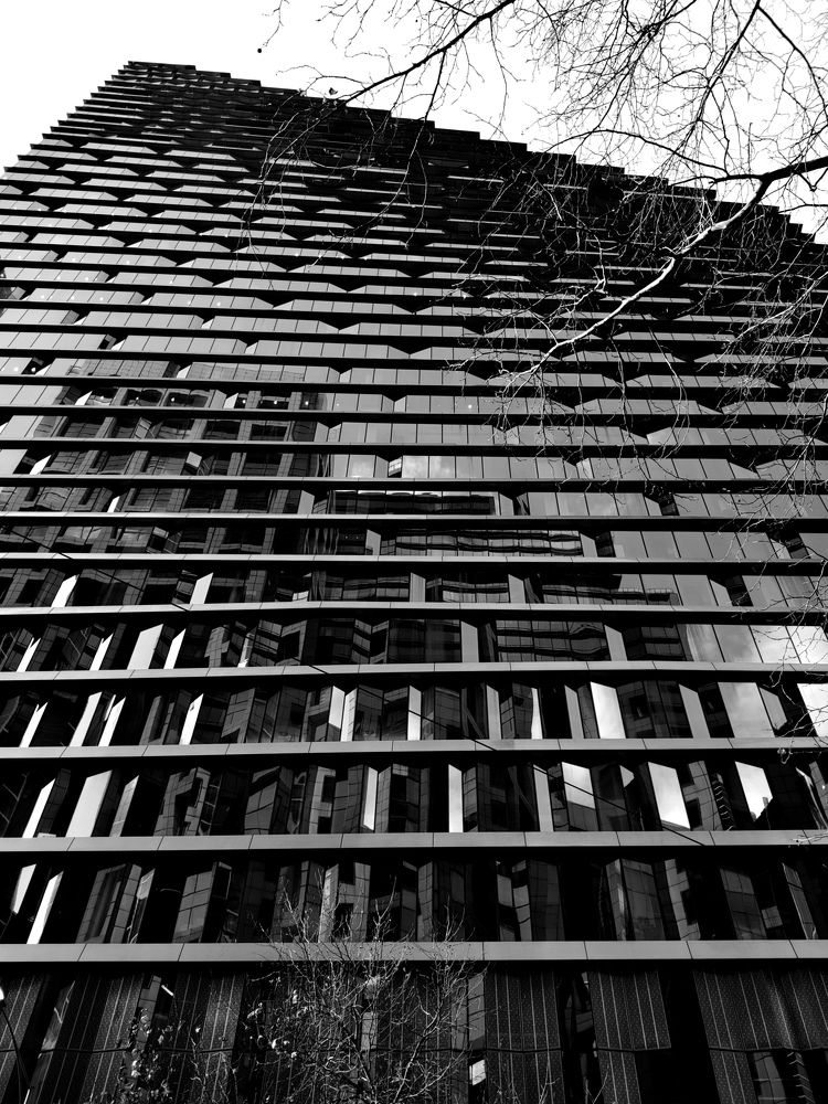 Photograph by Shaas AL Najjar