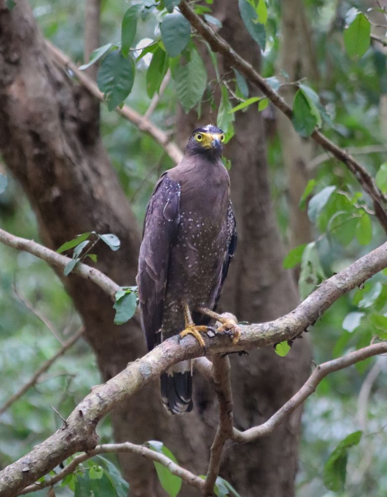 Photograph by Menula Dharmathilake