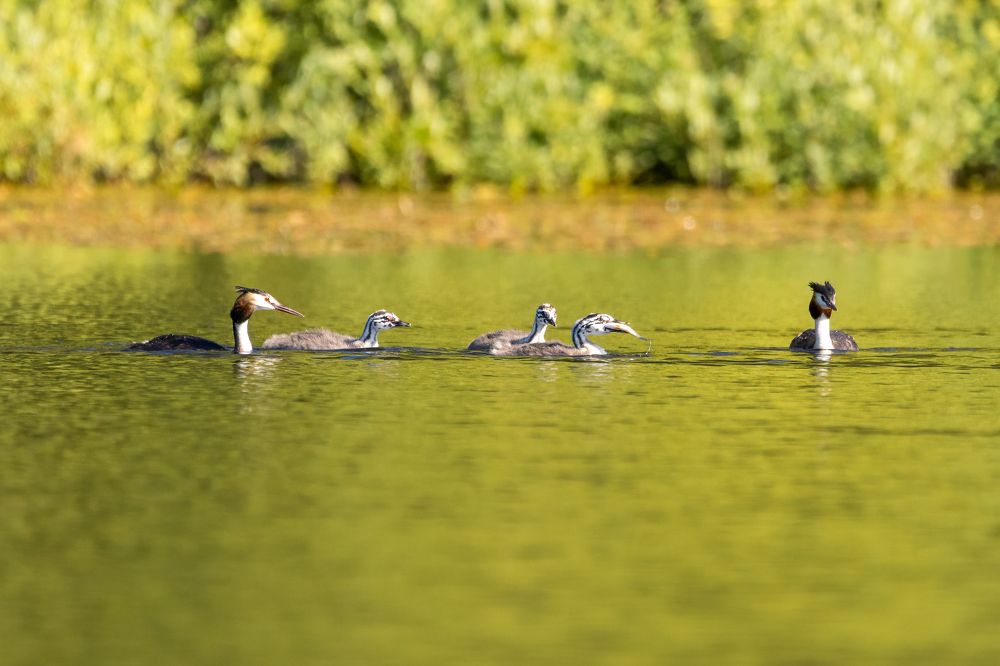 Photograph by Константин Шатилов