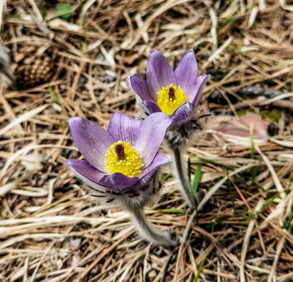 Photograph by Nikolay Draganov