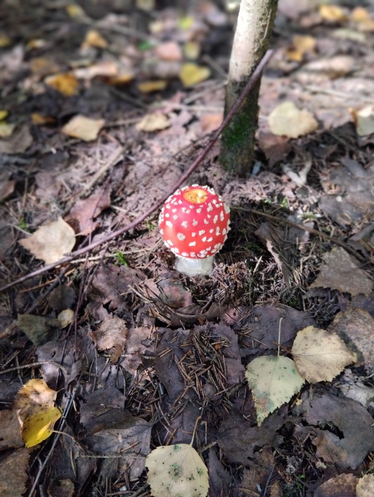 Photograph by Елена Малкова