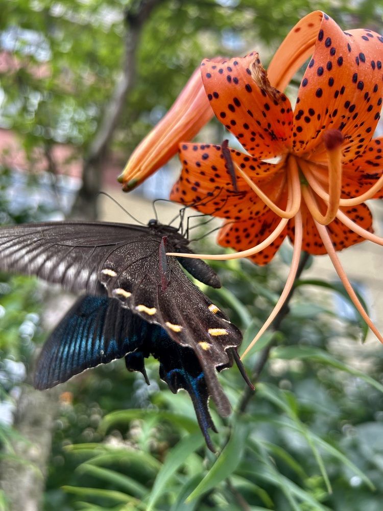 Photograph by Елена Власова