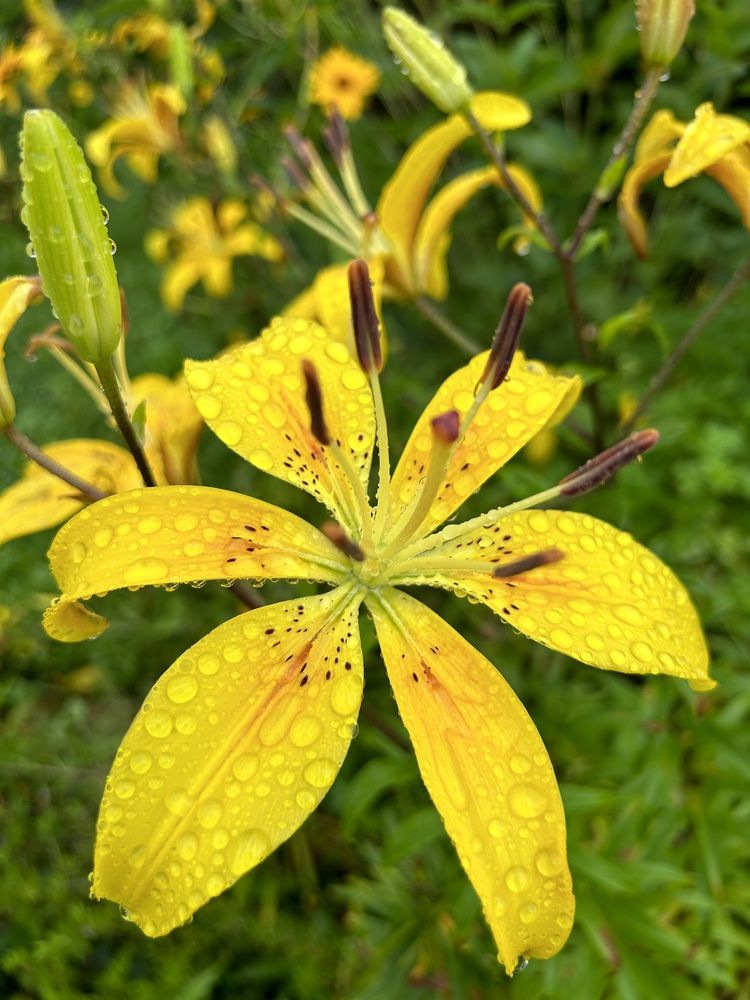 Photograph by Елена Власова