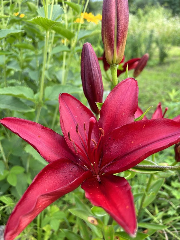 Photograph by Елена Власова