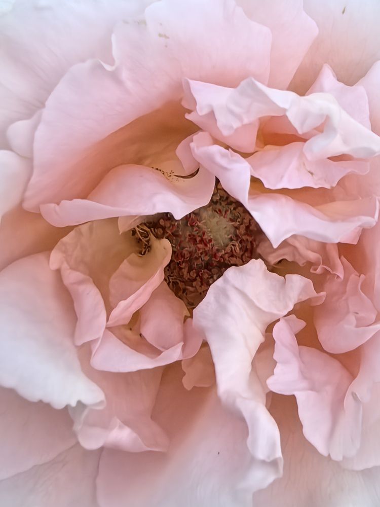 Photograph by Наталья Асоскова